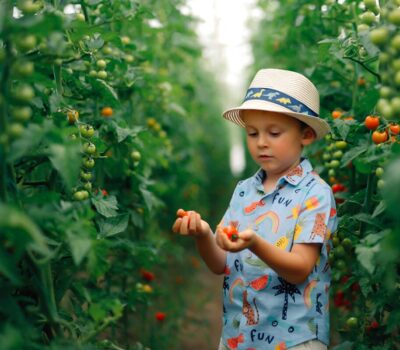 Un băiat cu o pălărie de paie verifică roșii într-o seră.