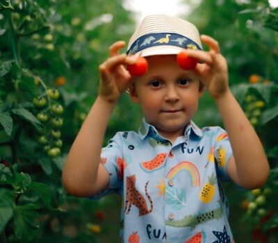 Un băiat cu o pălărie cu dinozauri ține roșii într-o seră.