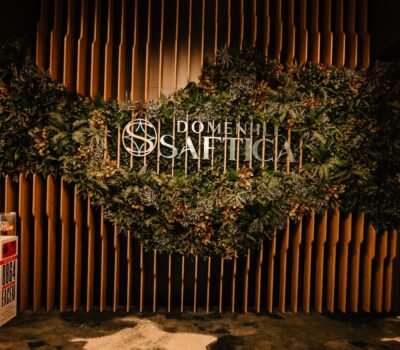 Fundal cu "Domeniile Știrbey", frunze și donații pentru spitale.