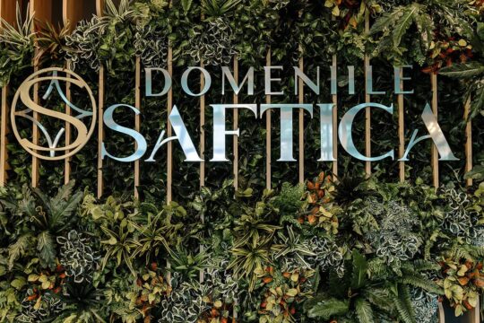 Perete de verdeață cu inscripția „DOMENIILE SAFTICA” și un logo circular cu literele „DS”.