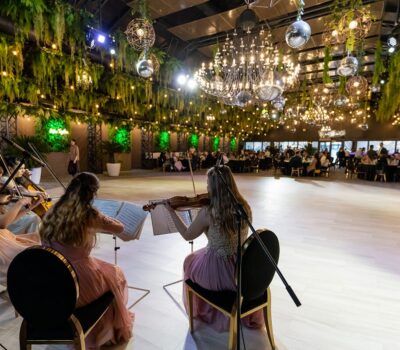 Trio de coarde cântând într-o sală de bal împodobită cu verdeață și candelabre.